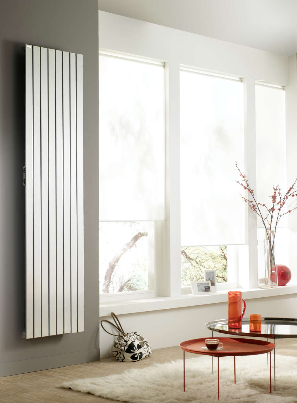 Radiateur Acova Fassane Néo 2 Vertical