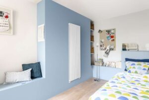 Radiateur Acova Fassane Vertical simple