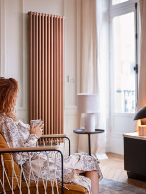 Radiateur Acova Vuelta Vertical